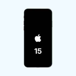 LCD Assembly For iPhone 15 (Incell)