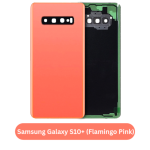 Samsung Galaxy S10+ Back Cover with Camera Lens & Glue Sticker – AAA (Flamingo Pink)